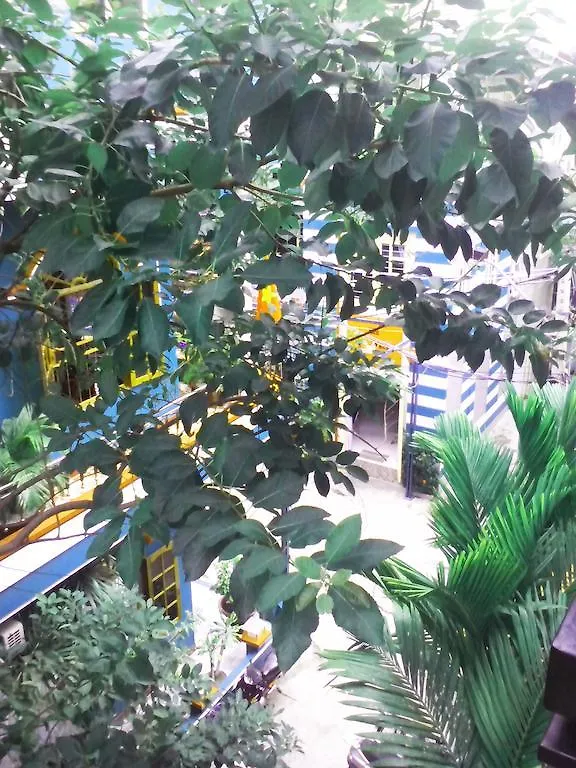 Son And Daughter Guesthouse Nha Trang Pensionat